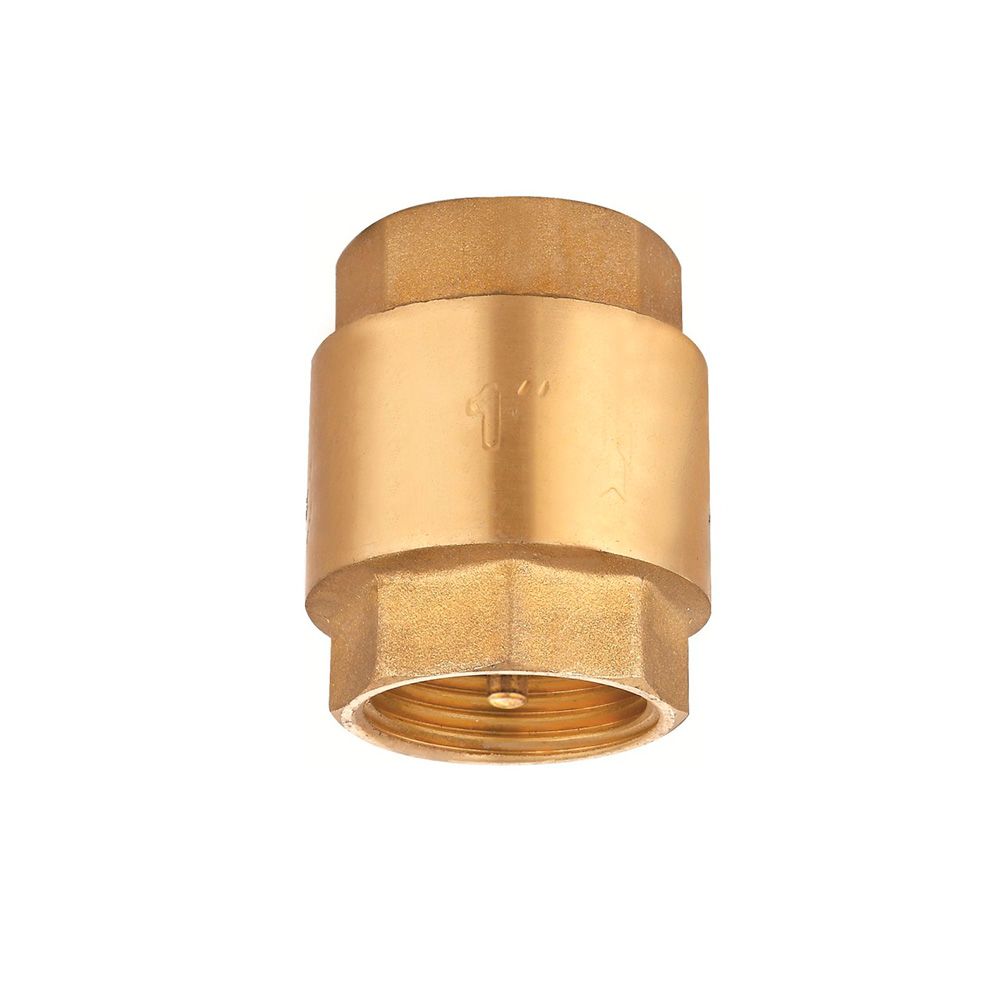 Válvula de retenção h-h 2"