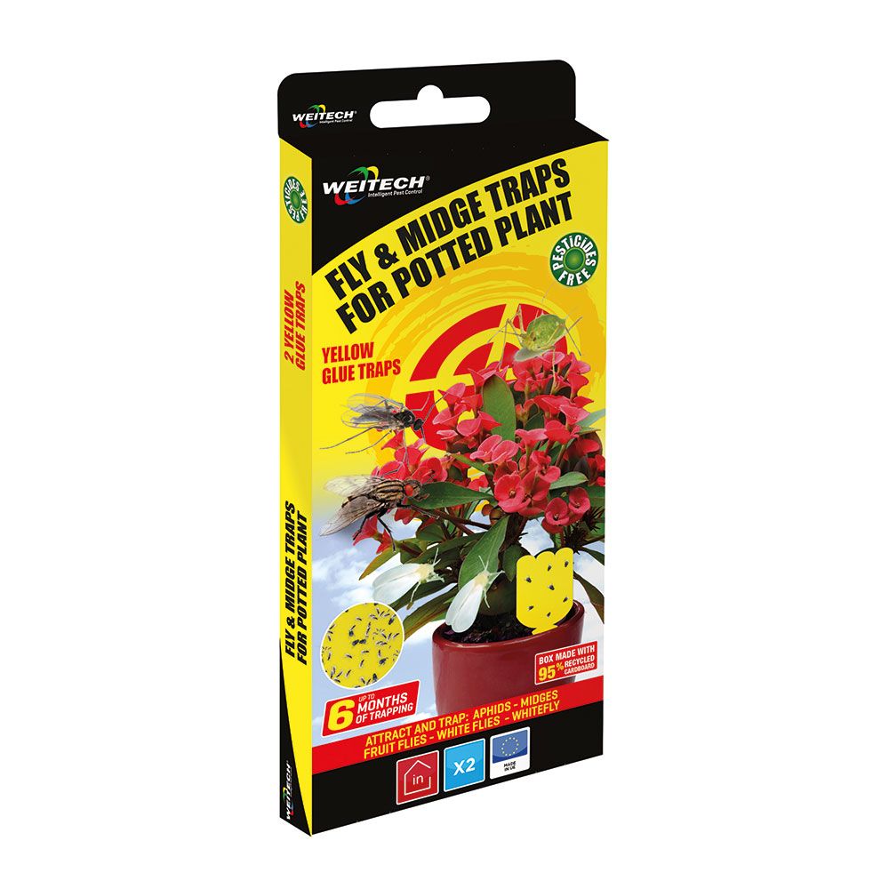 Armadilha especial para vasos de flores contra mosquitos e moscas, 2 UDS
