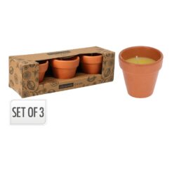 Vela de citronela em vaso de terracota, Ø6 x 6 cm, 3 un