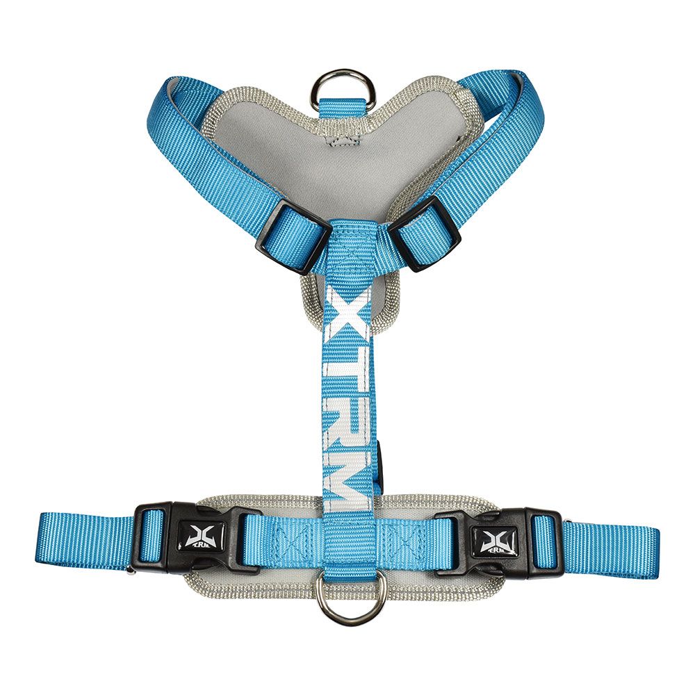 Arnês x-trm cronos neon flash azul, t-m 20 mm x 46-75 cm