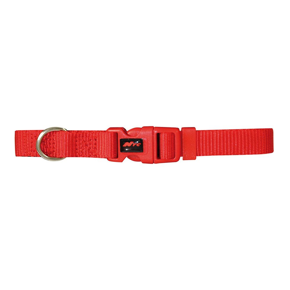 Coleira Basic vermelha 15 mm x 33-40 cm