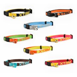Coleira para gatos X-trm neon flash 10 mm x 22-33 cm, cores sortidas
