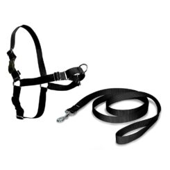 Arnês + trela, easy walk, preto, T - média, 56 - 81 cm