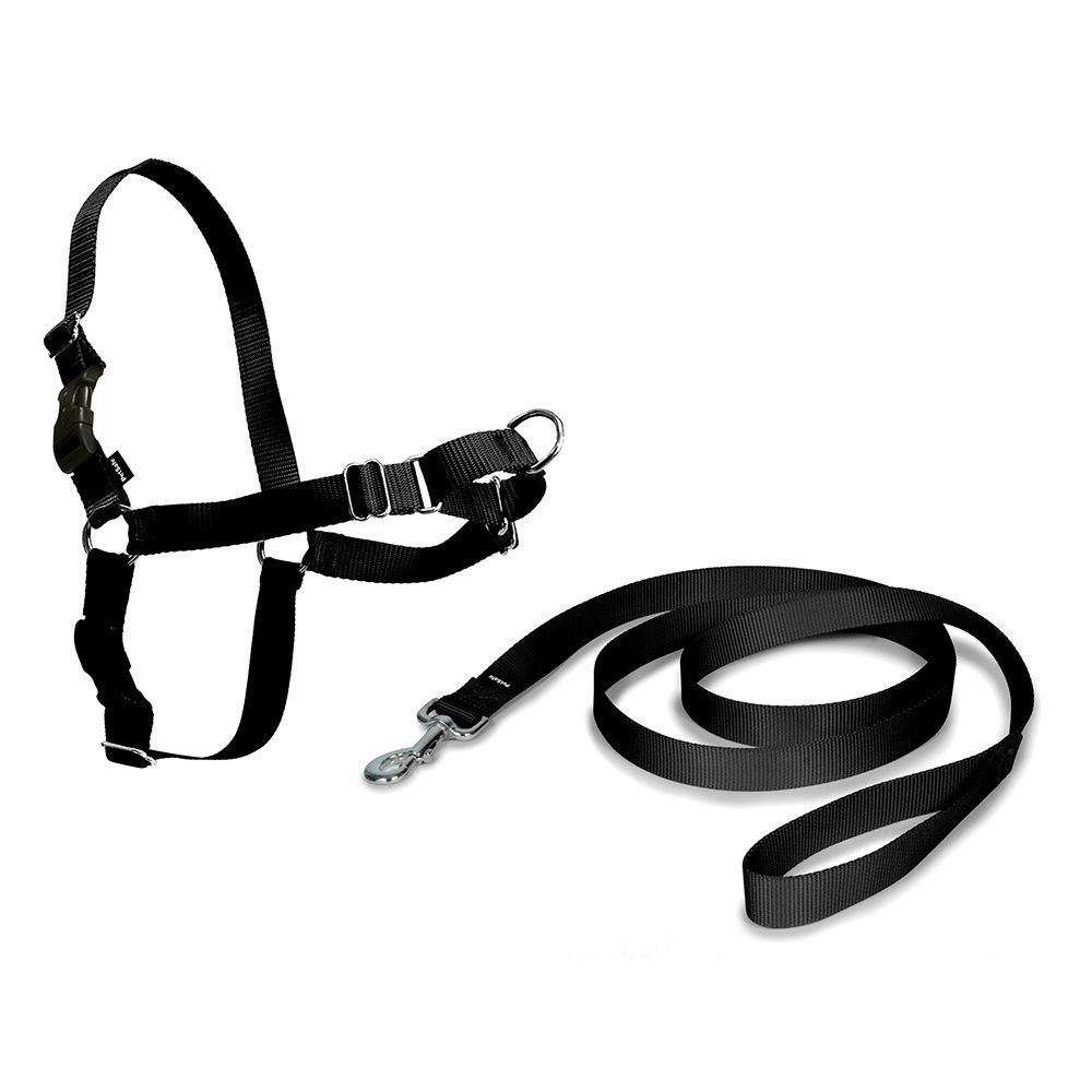Coleira easy walk preta tamanho grande 66 - 91 cm