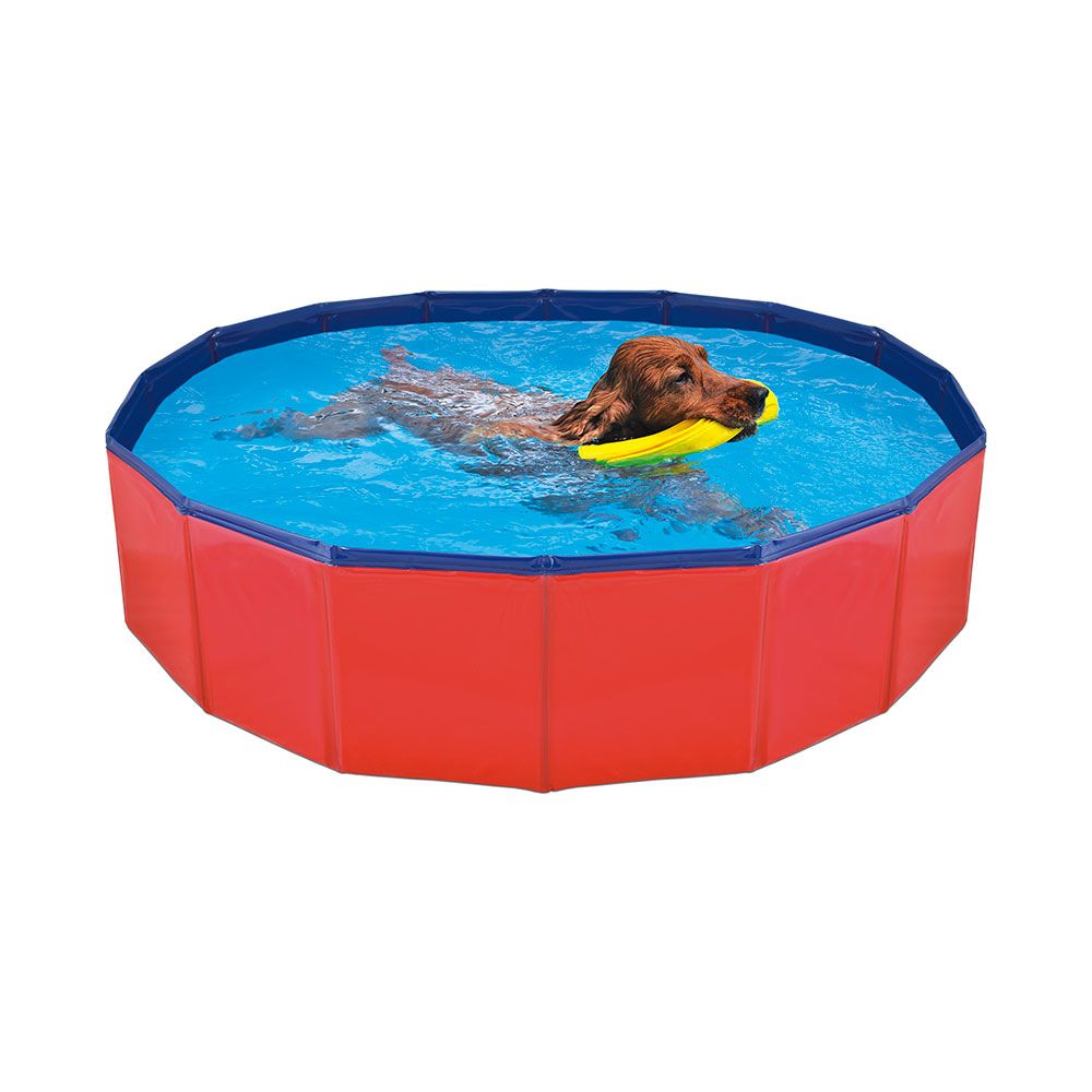 Piscina para cães 120 x 30 cm
