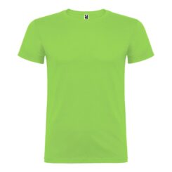 T-shirt beagle green oasis T.2XL