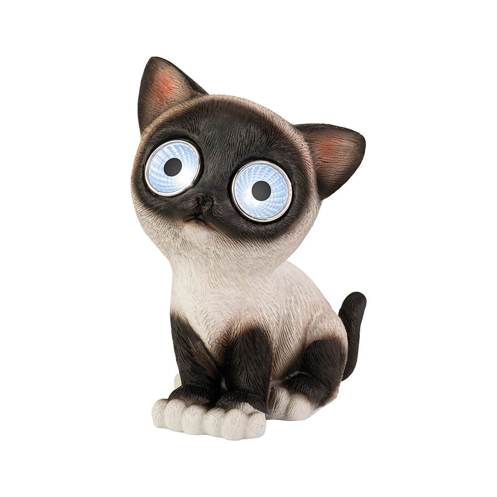 LUZ solar CAT, vários modelos - Image 4