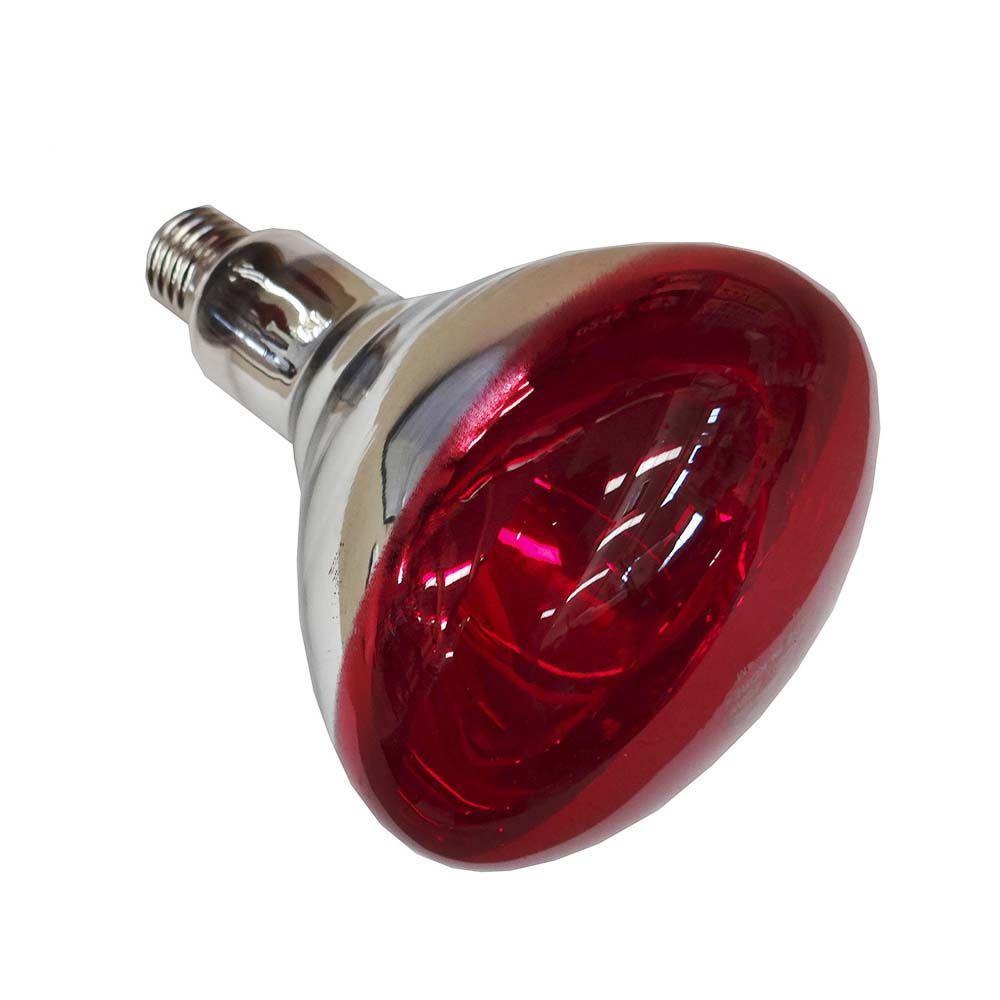 PHILIPS Lâmpada refletora infravermelha R125 250w e27 cor: vermelho (terapêutico) philips