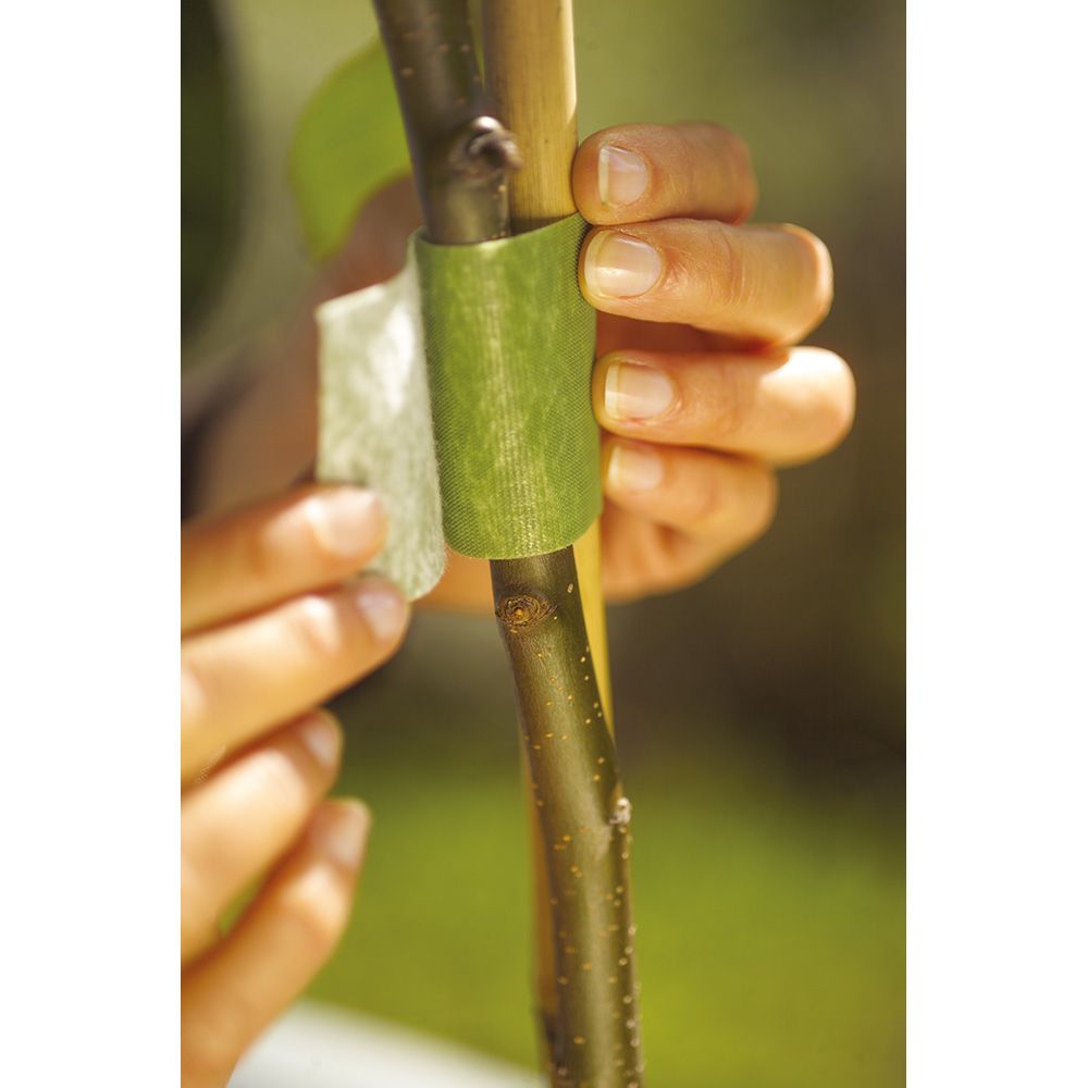 Fita de fixação de plantas, verde, 12 mm x 5 m - Image 3