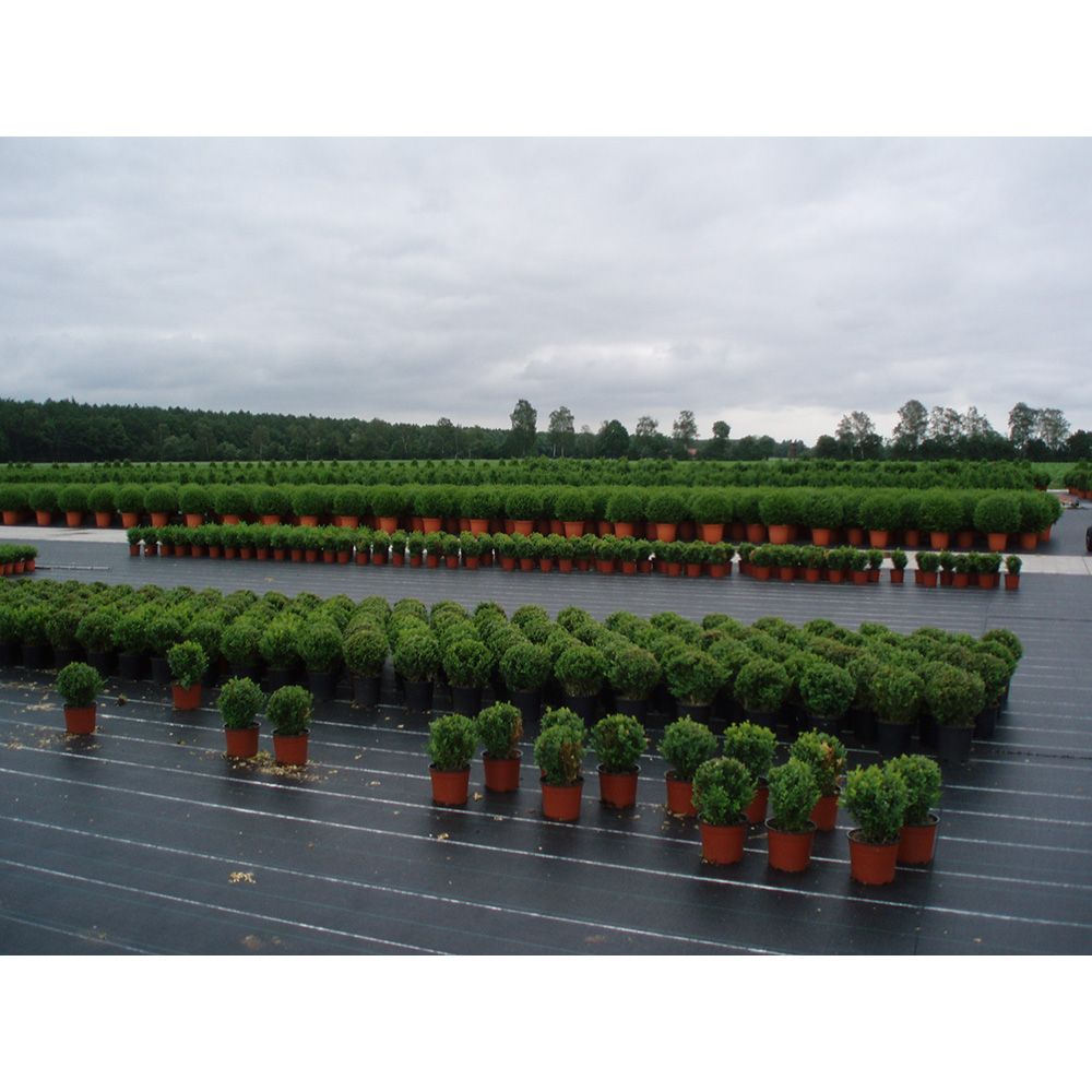 Malha anti-erva 100 g/m² verde 1 x 10 m - Image 2
