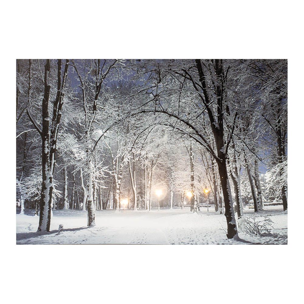 Pintura LED de paisagens nevadas 58x1,5x38cm 6 LEDs 2 modelos variados