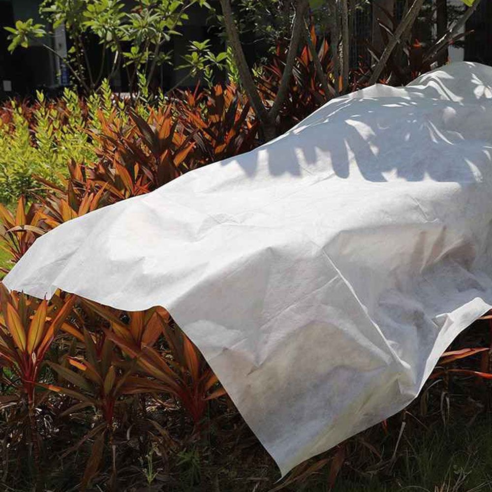 Tecido Artic para proteção de cultivos 4 x 5 m 17g/m² - Image 6