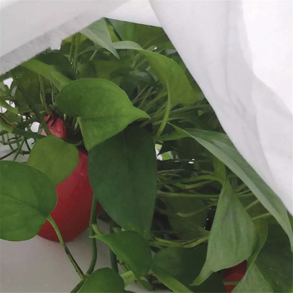 Tecido para proteção de cultivos-bobina 2x20m 17gr/m² biotop garden - Image 3