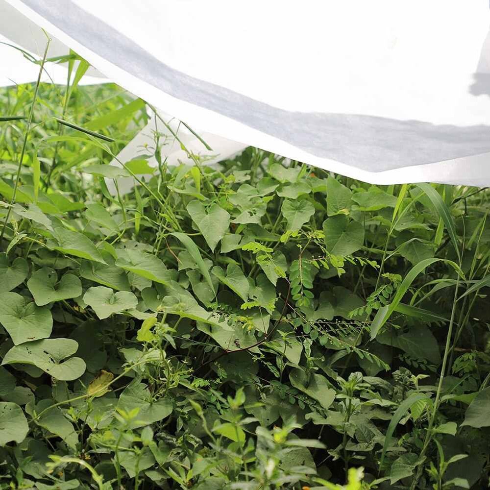 Tecido para proteção de cultivos-bobina 2x20m 17gr/m² biotop garden - Image 5