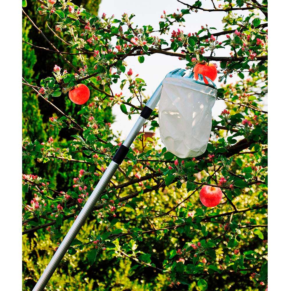 Recolhedor de frutas telescópico extensível de 130-240 cm - Image 2