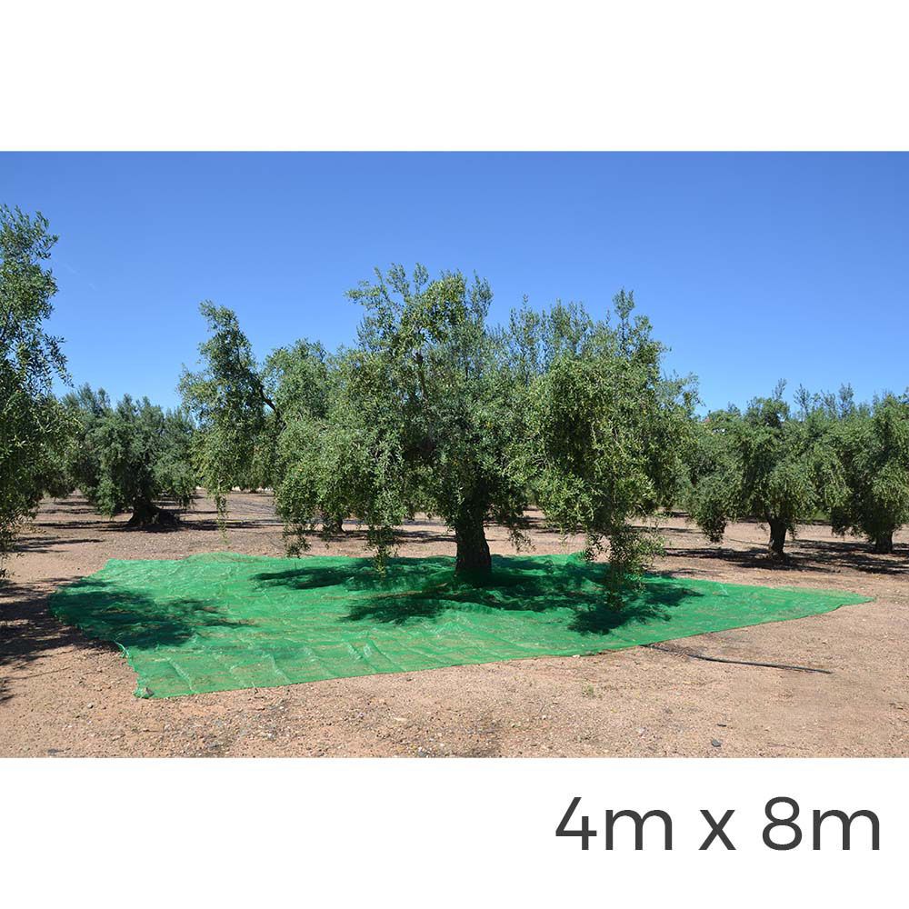 Manto para coleta de frutas 4 x 8 m COR verde