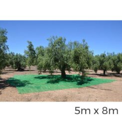 Manto para coleta de frutas 5x8m COR verde