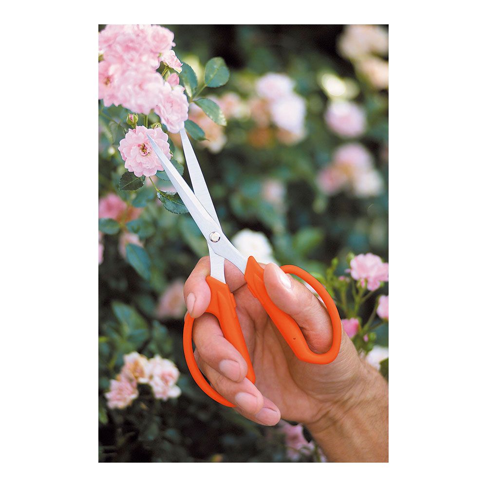 Tesoura florista 19,5. stocker - Image 2