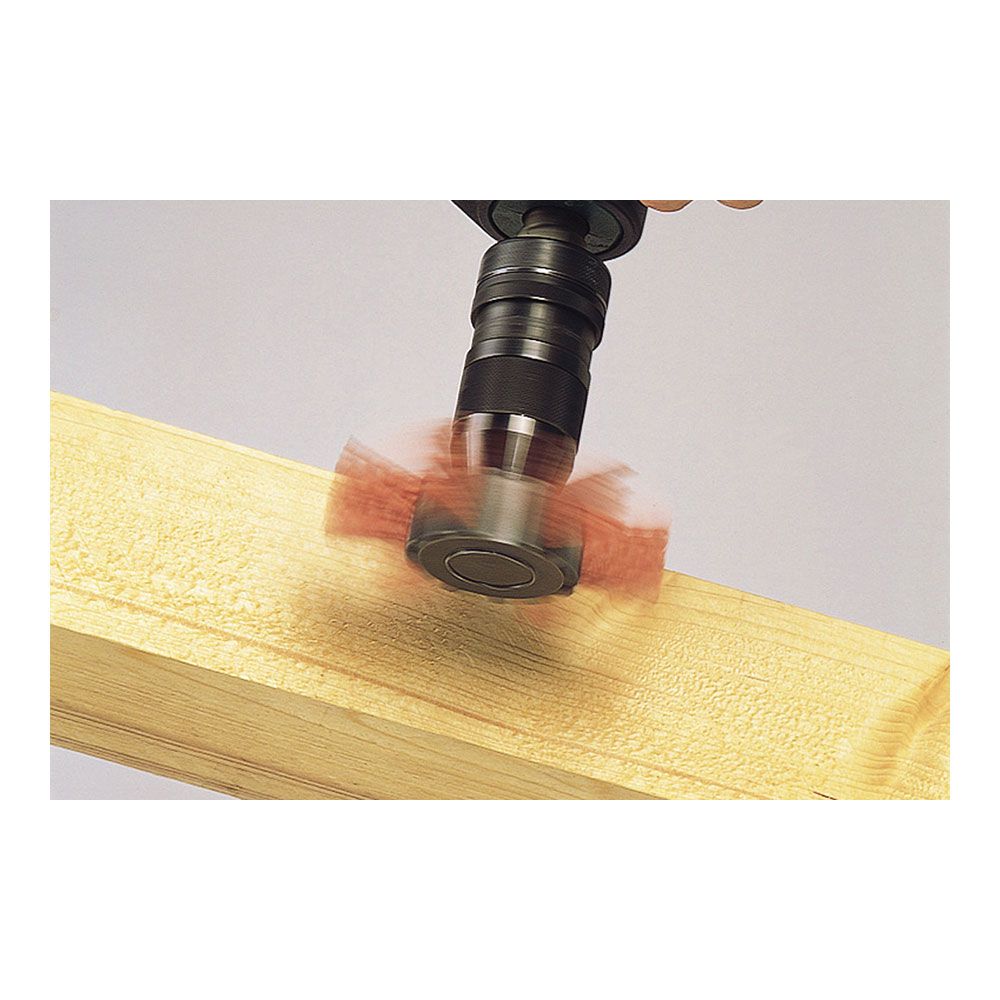 Escova rebolo lamelado em FIO de nylon haste hexagonal Ø100 x 20 mm - Image 2