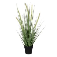 Vaso de erva dogtail, 54 x 13 x 12 cm