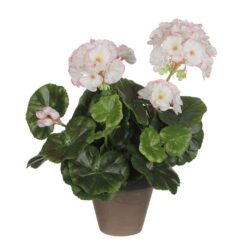 Vaso de gerânio COR branco / rosa, Ø11,5 x 33 cm