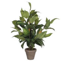 Vaso de hosta verde, 15,5 x 65 cm