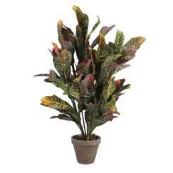 Vaso de croton verde, 73 x 40 cm