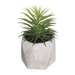Mini vaso para suculentas, 7 x 14 cm, modelos variados