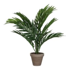 Vaso de palmeira amarela ou areca, 46 x 46 x 42 cm
