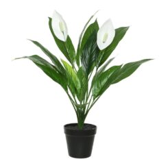 MICA DECORATIONS Vaso Spathiphyllum, ø12 x 7 x 9,5 cm