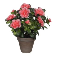 Vaso de azaléia pêssego Ø11,5 x 27 cm