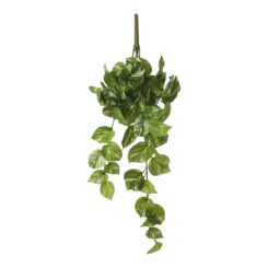 Vaso suspenso de potho verde, 14 x 58 x 20 cm