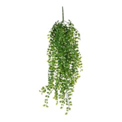 Vaso suspenso de ficus verde, 81 cm