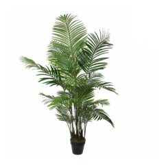 Vaso de palmeira areca, Ø80 x 160 cm