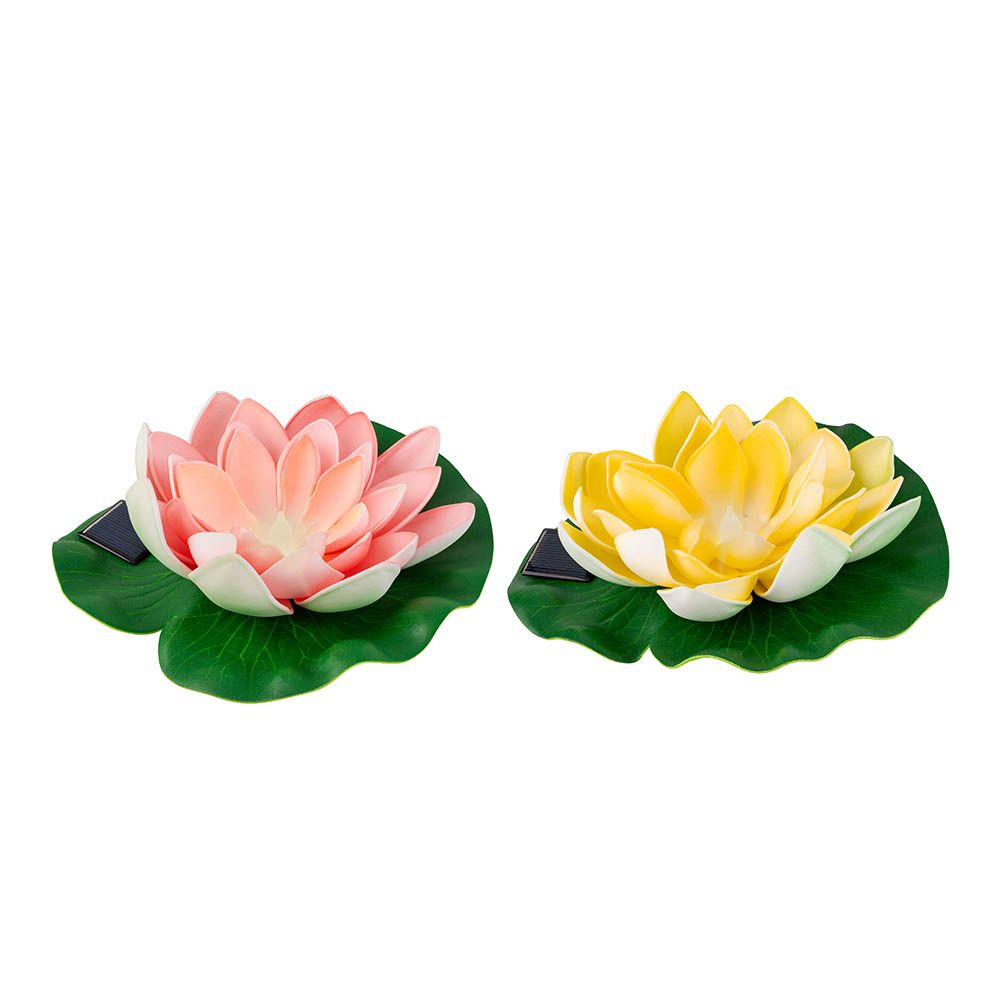 Figura solar de flor de lótus, cores sortidas