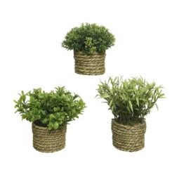 Vaso de planta verde Ø16 x 13 cm, modelos variados