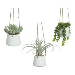 Vaso suspenso de suculenta, 20 cm, modelos variados