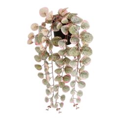 Vaso de flores suspenso Ceropegia woodii com colar de corações rosa, 12 x 10 x 46 cm