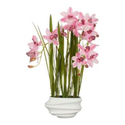 Vaso de orquídea Cymbidium barco rosa, 40 x 49 x 81 cm