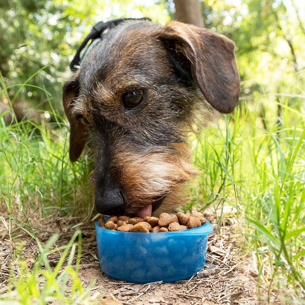 Garrafa com depósito de água e comida para animais de estimação 2 em 1 - Image 6