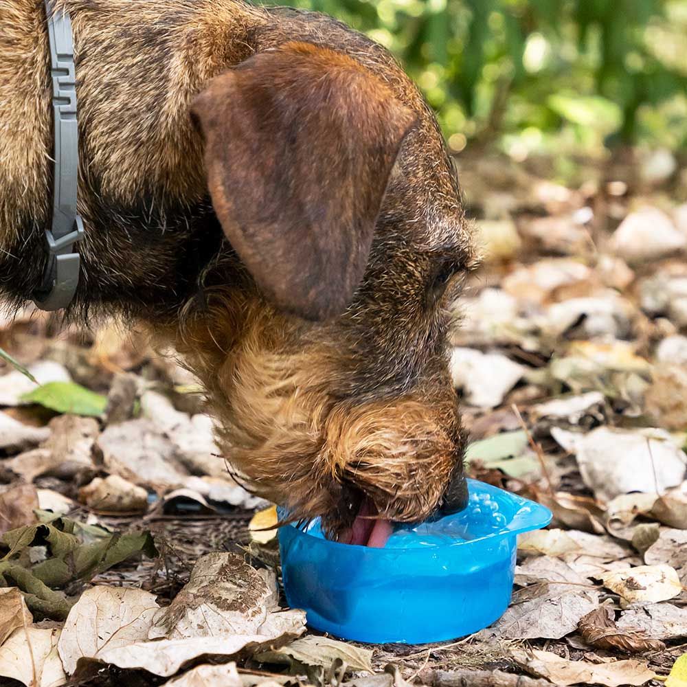 Garrafa com depósito de água e comida para animais de estimação 2 em 1 - Image 8