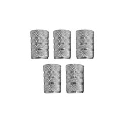 SET de 5 tampões de válvulas rodas de carro prata dunlop