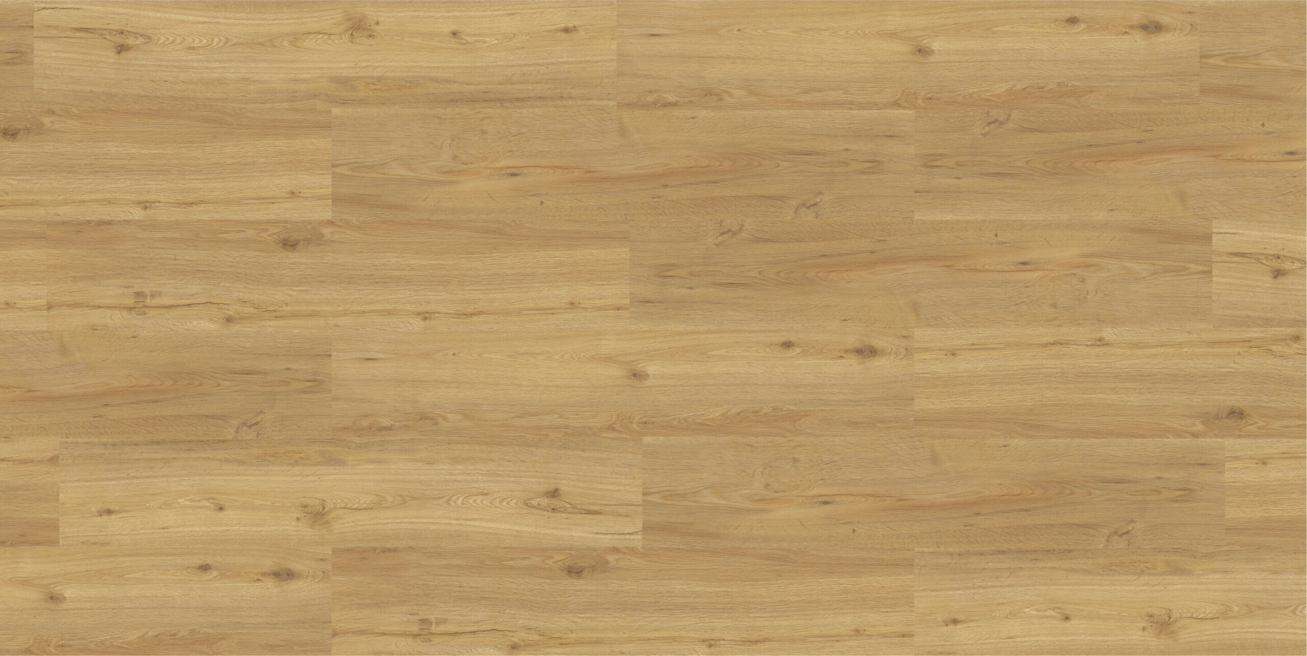 Réguas de Gold Summer Oak instaladas